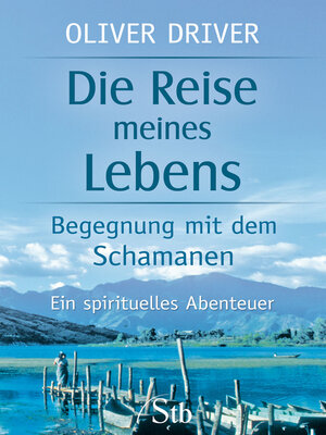 cover image of Die Reise meines Lebens